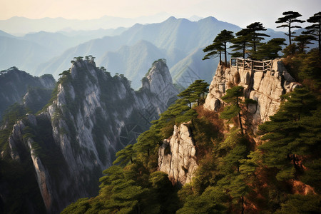 天柱山岩石植物的自然景观图片