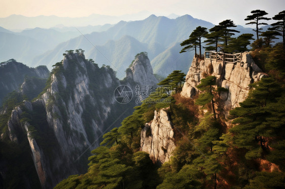 天柱山岩石植物的自然景观图片