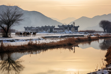 冬季的乡村风景图片