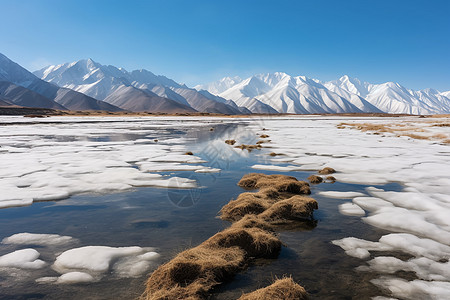 南疆冰雪风光图片