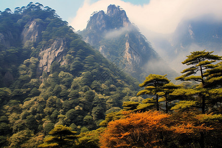 秋天黄山的美丽风景图片