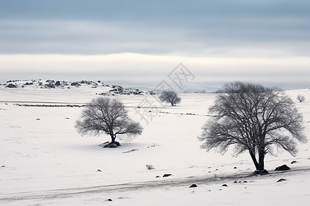 冬季的乌兰布通草原自然景观背景图片
