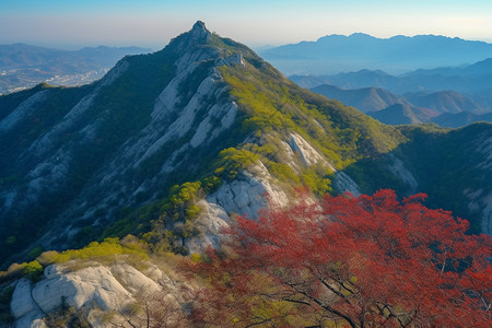 绿意盎然的风景区图片