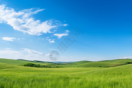 风景如画芬兰风景如画的乡村背景