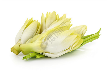 白色背景上的新鲜菊苣图片