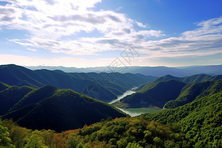 美丽的山林风景图片