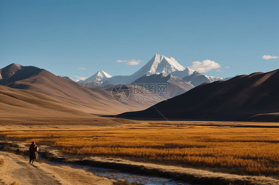 阿里秋的雪山图片