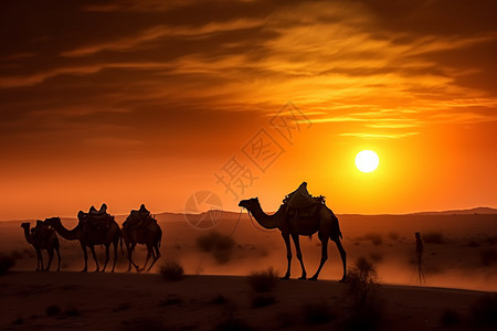 日落下的沙漠之舟图片