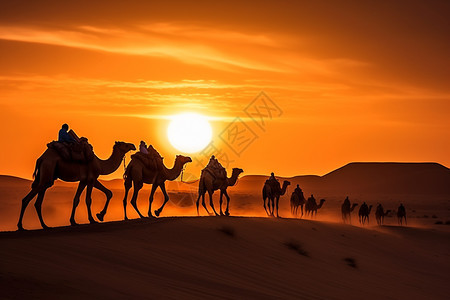 夕阳下的骆驼队伍图片
