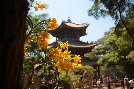 风景区里的黄色鲜花图片