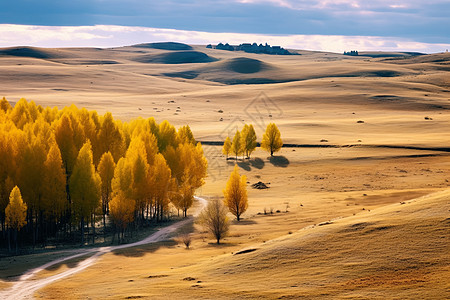 秋天草地广阔的草原背景