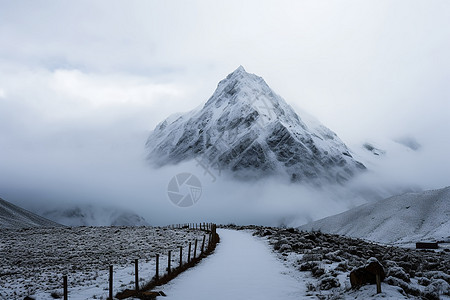 云雾中的雪山图片