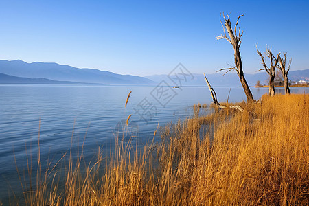 双廊洱海辽阔的湖泊背景