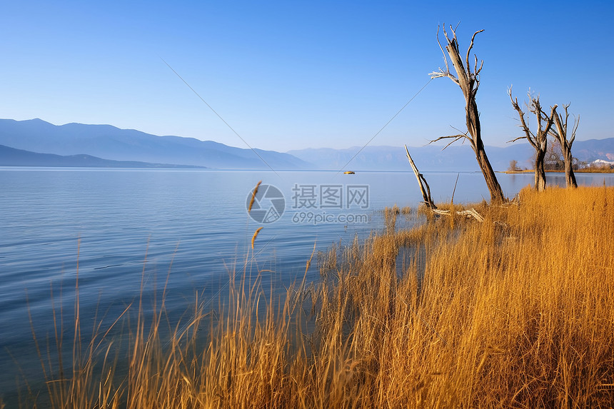 辽阔的湖泊图片