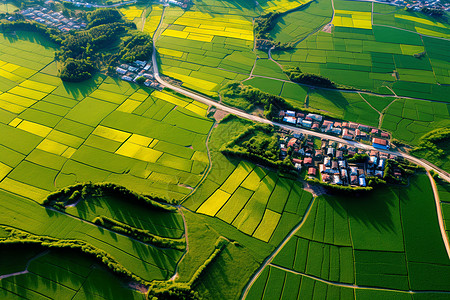 农田鸟瞰图广阔的田野背景