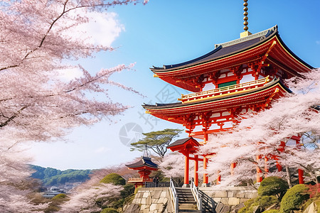 京都寺庙清水寺在京都背景