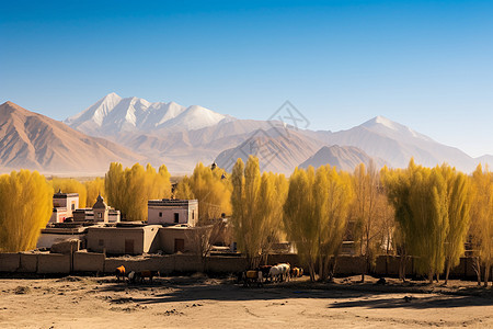沙漠深处的村庄背景图片