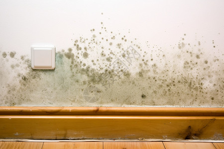 潮湿地板白墙上有青黑色的霉菌背景