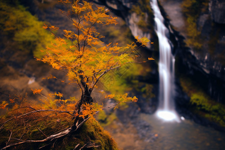 秋天的流水瀑布图片