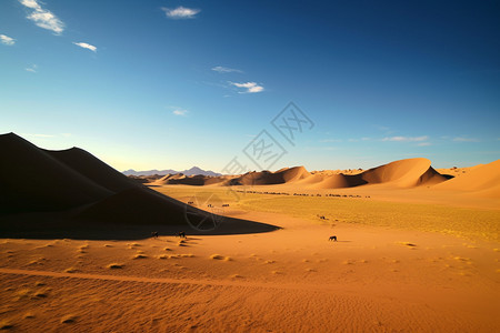 沙漠上的风景图片