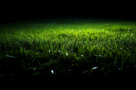 黑暗的绿色草坪图片