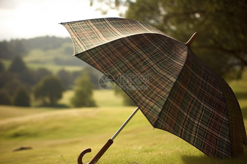 老式格子雨伞图片