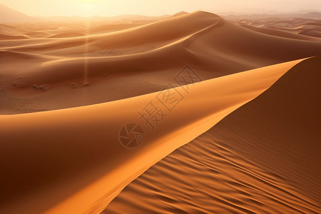 户外沙丘沙漠图片