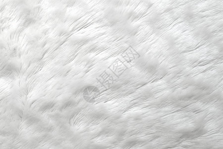 白色的地毯图片