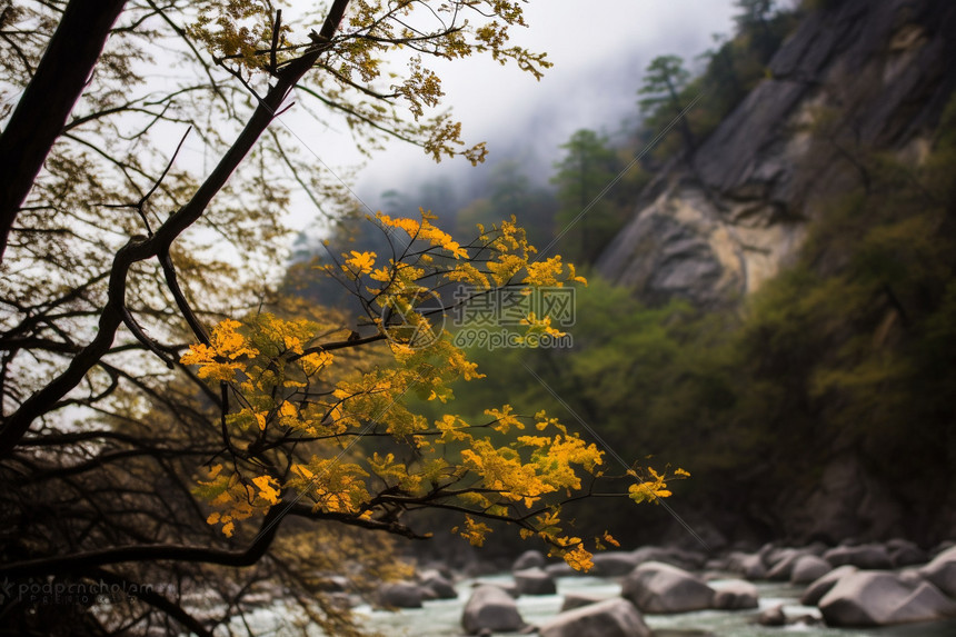 深山处的风景图片