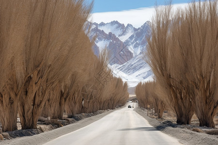 雪山下的农村公路背景