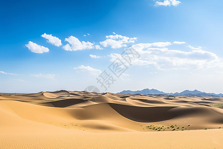 干燥的沙漠风景图片