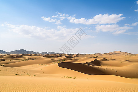 夏季沙漠风景图片