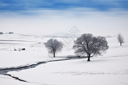 空旷的雪原图片