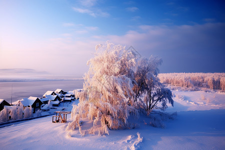 下雪后的雪乡图片