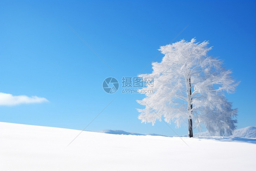 广阔的雪原图片