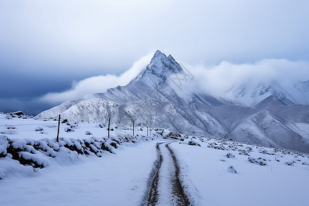 远处的雪山图片