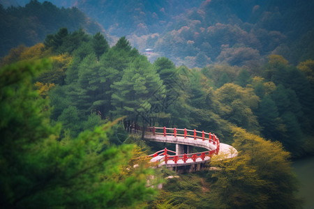 户外的山景图片