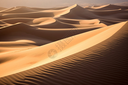 沙漠纹理线条风景图片