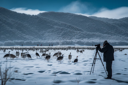 危险的雪地图片