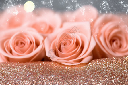 浪漫的香槟玫瑰图片