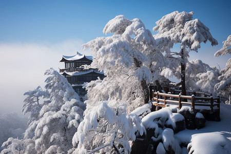冬季的黄山自然景观高清图片