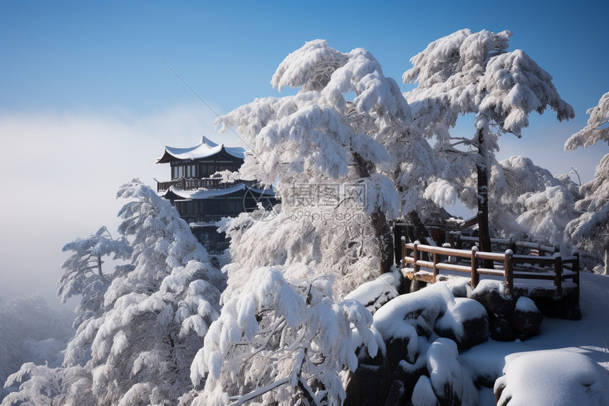 冬季的黄山自然景观图片