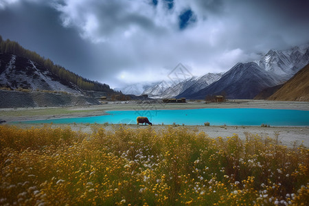 美丽的冉乌湖景观图片