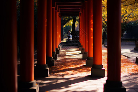 城市中的古建筑公园中的古建筑背景