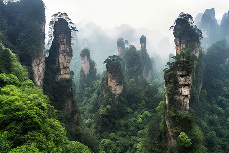 森林公园风景图片