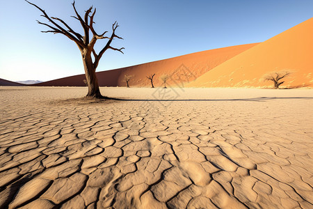 风吹的沙丘背景图片