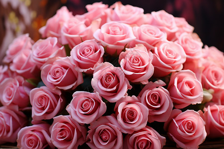 美丽的粉色玫瑰图片
