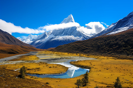 秋天的稻城亚丁稻城亚丁的风景背景