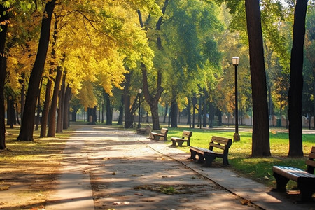 秋天草地公园路边的长椅背景