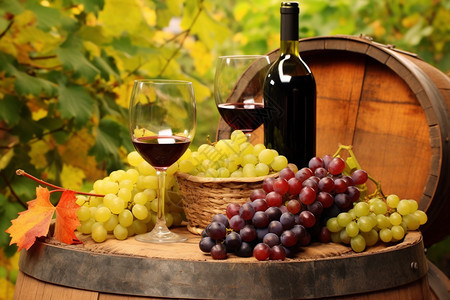 葡萄酒商业图图片